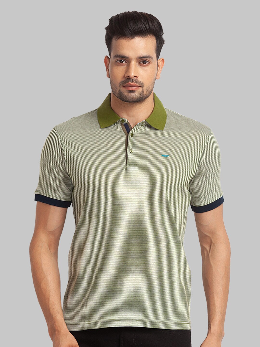 

Park Avenue Men Striped Polo Collar Slim Fit Cotton T-shirt, Green