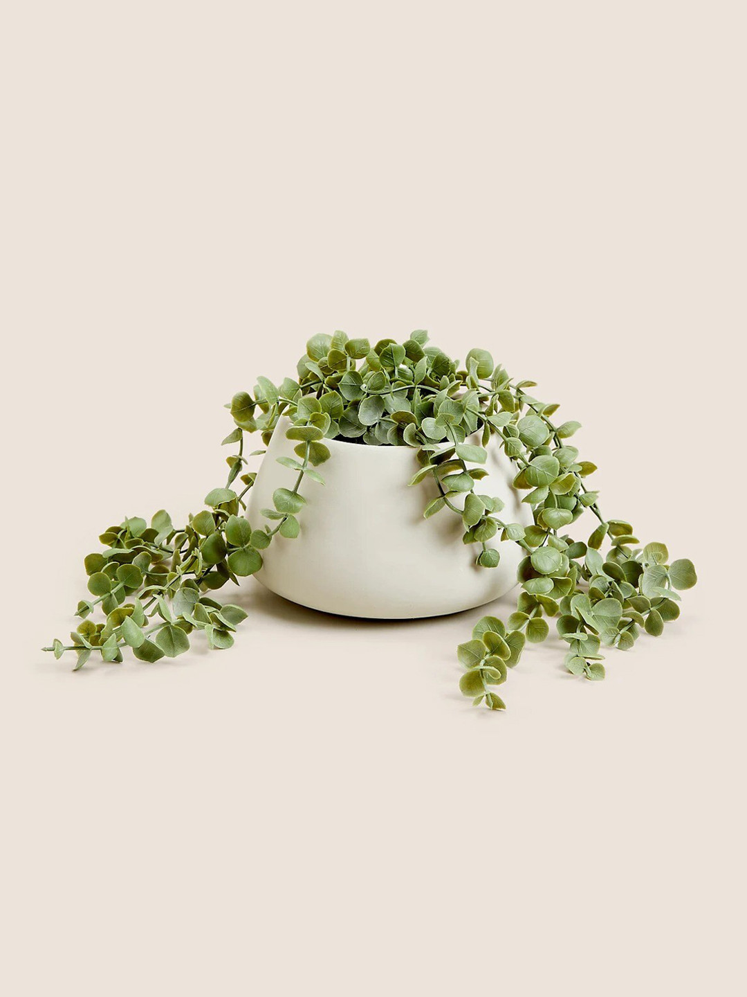 

Marks & Spencer Trailing Hearts Artificial Plants With Pot, Green