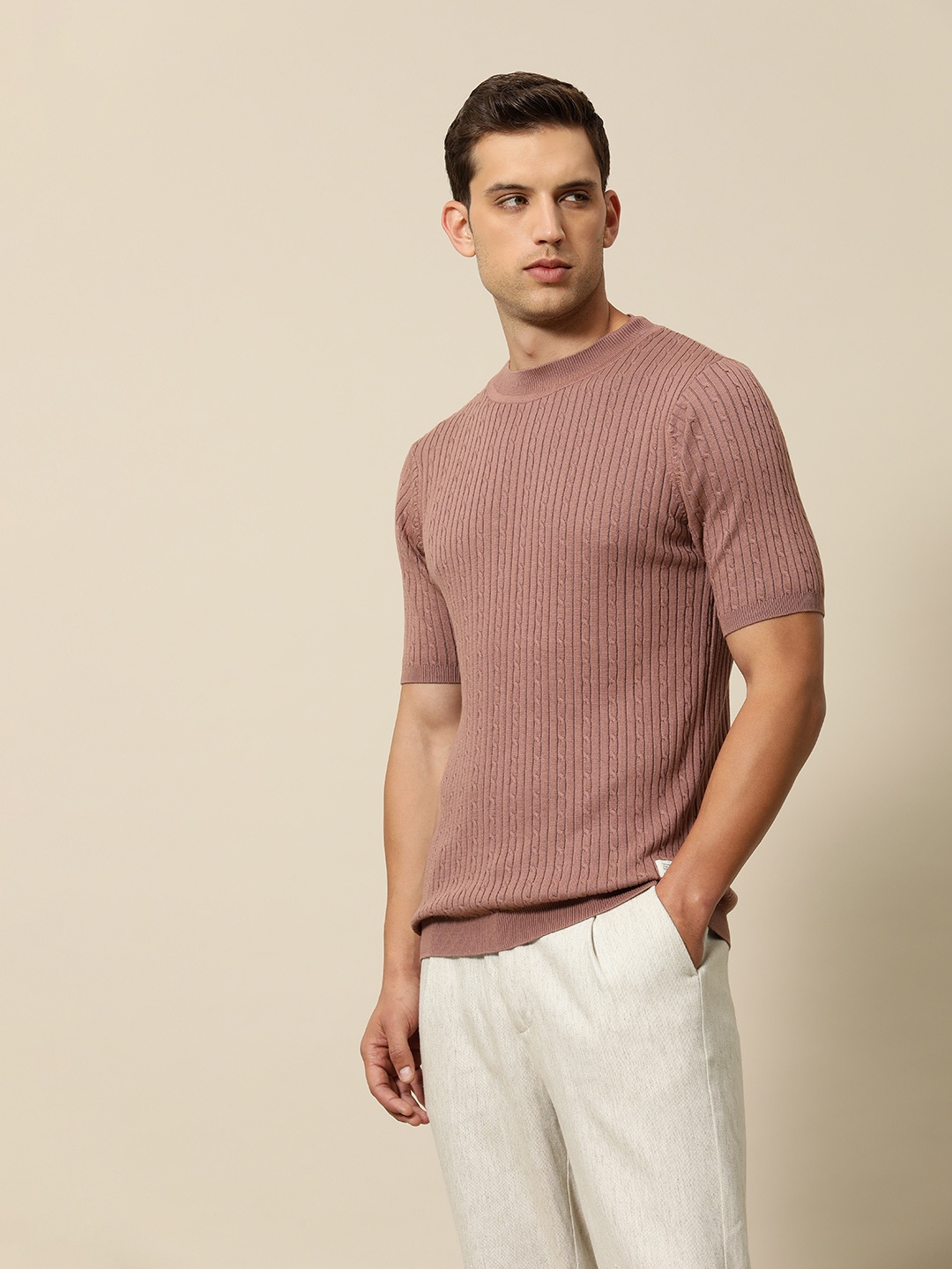 

Mr Bowerbird Tailored Fit Cable Knit Pullover, Mauve