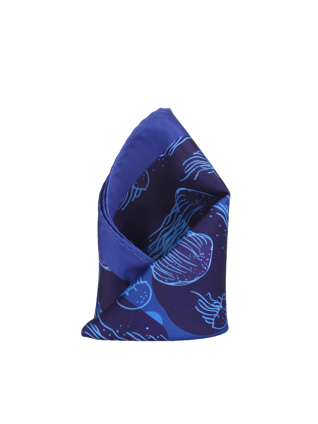 

Alvaro Castagnino Blue Printed Pocket Square