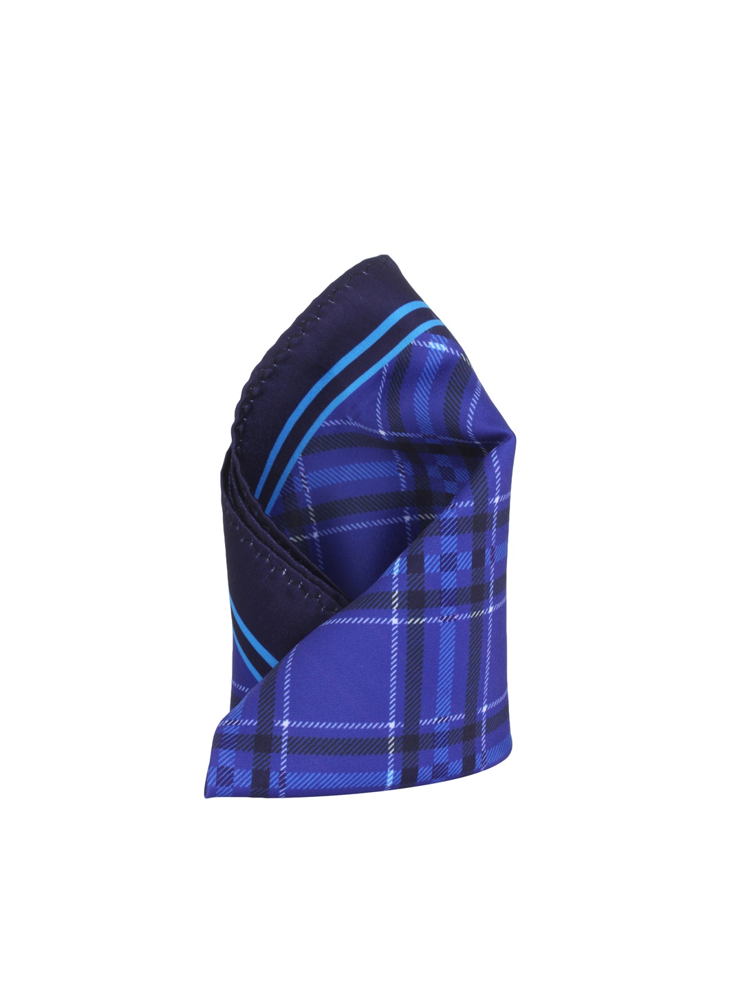 

Alvaro Castagnino Blue Printed Pocket Square