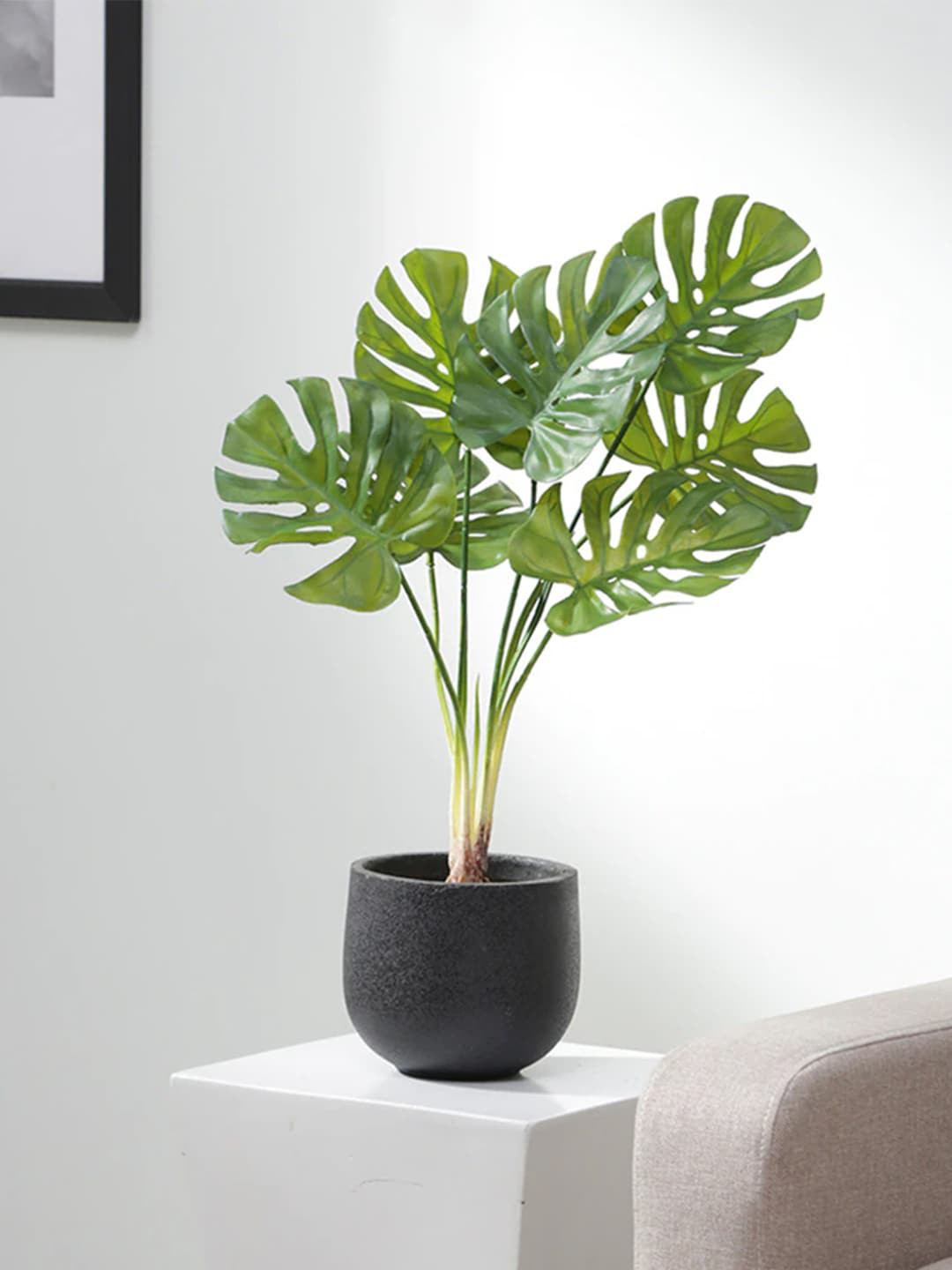 

Fourwalls Green Artificial Monstera Deliciosa Plant