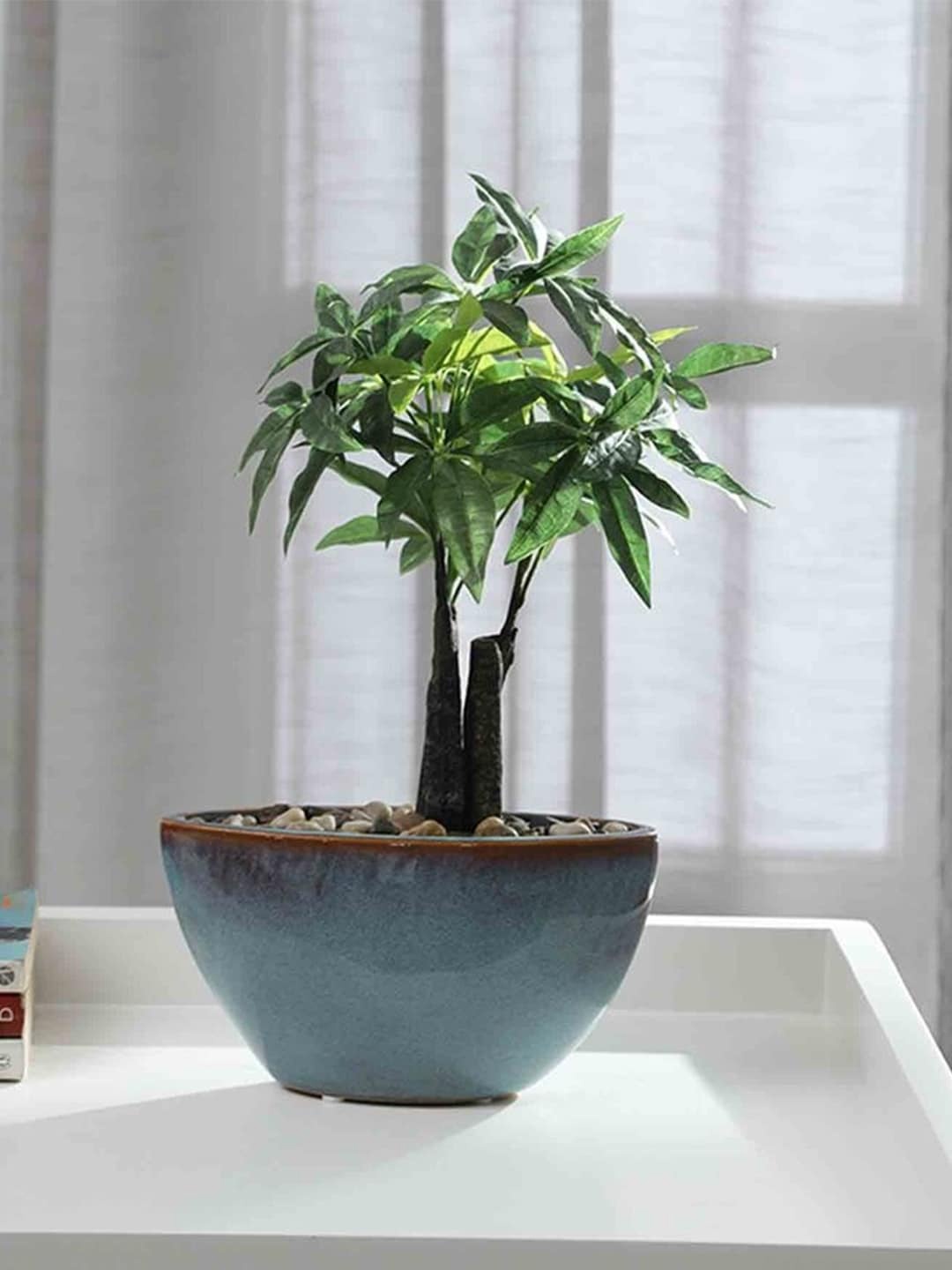 

Fourwalls Green & Blue Ficus Bonsai Artificial Plant with Pot