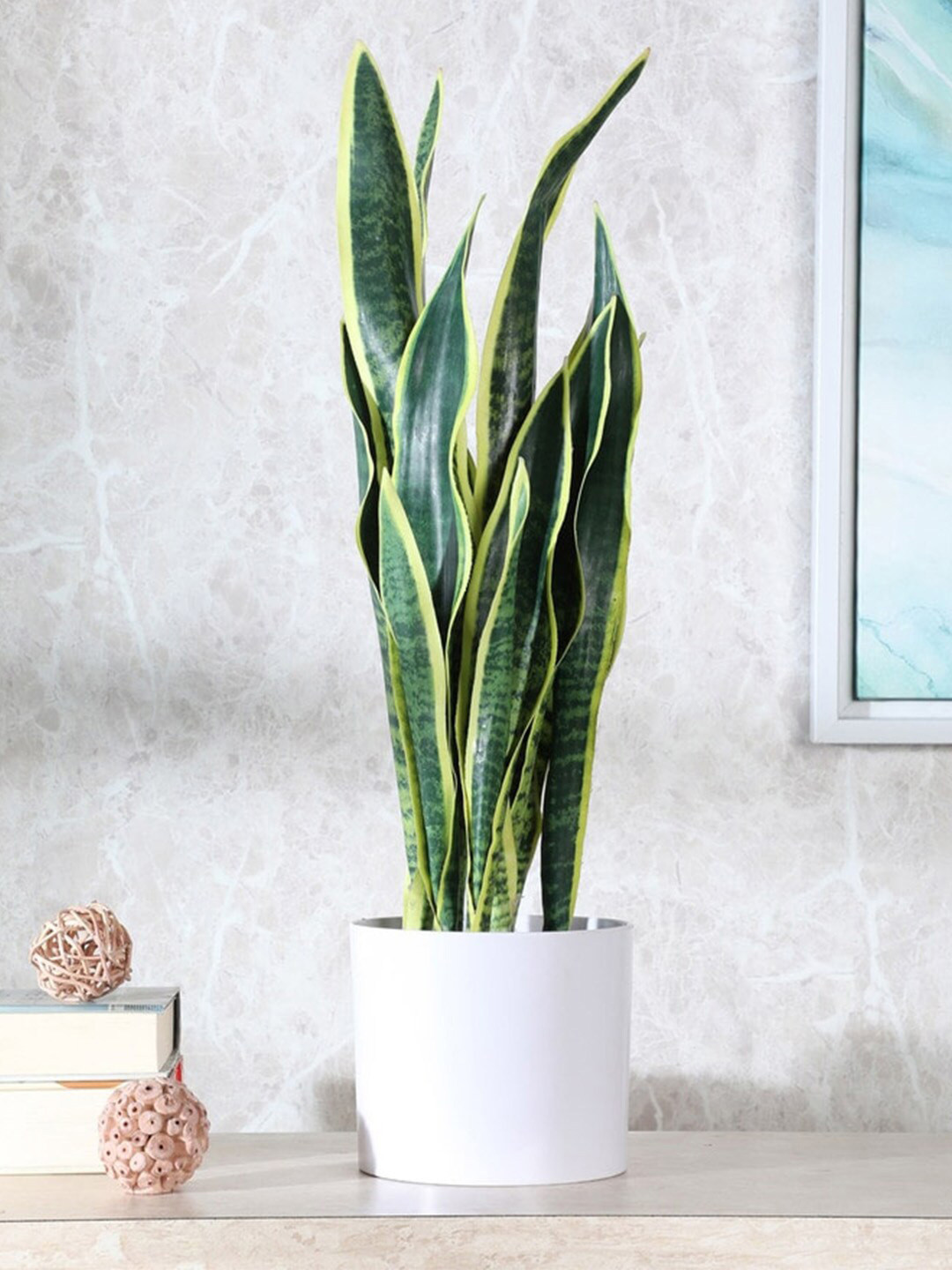 

Fourwalls Yellow & White Artificial Snake Plant With Pot