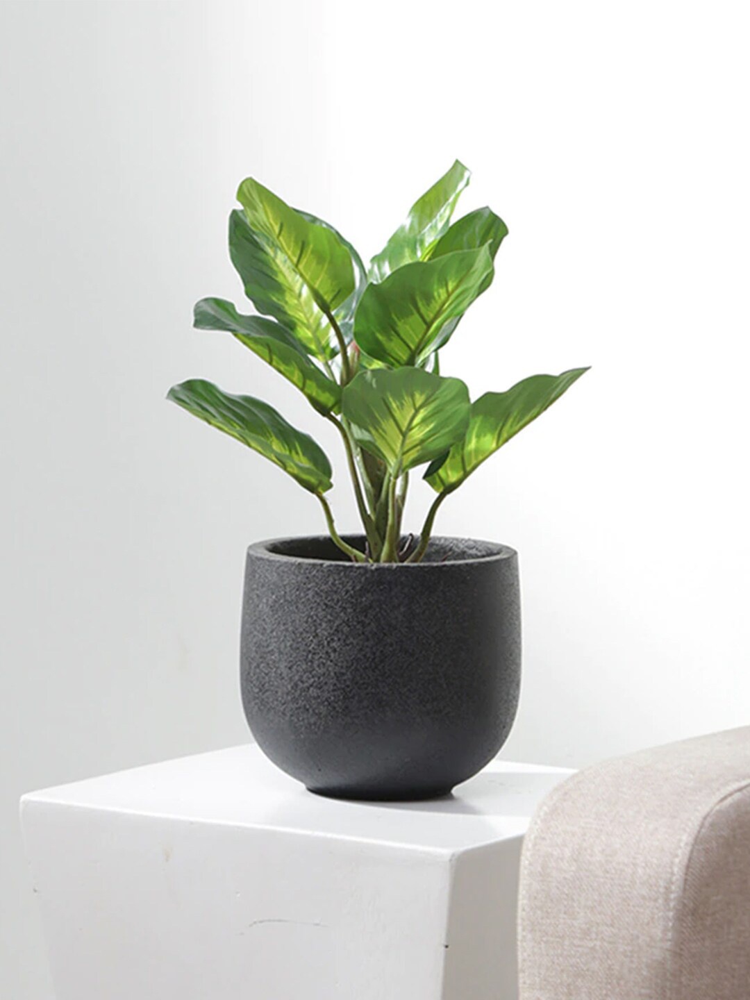 

Fourwalls Green Artificial Dieffenbacia Plant With Pot