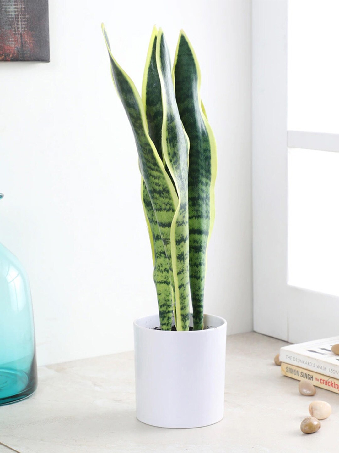 

Fourwalls Yellow & Green Artificial Snake Plant With Pot