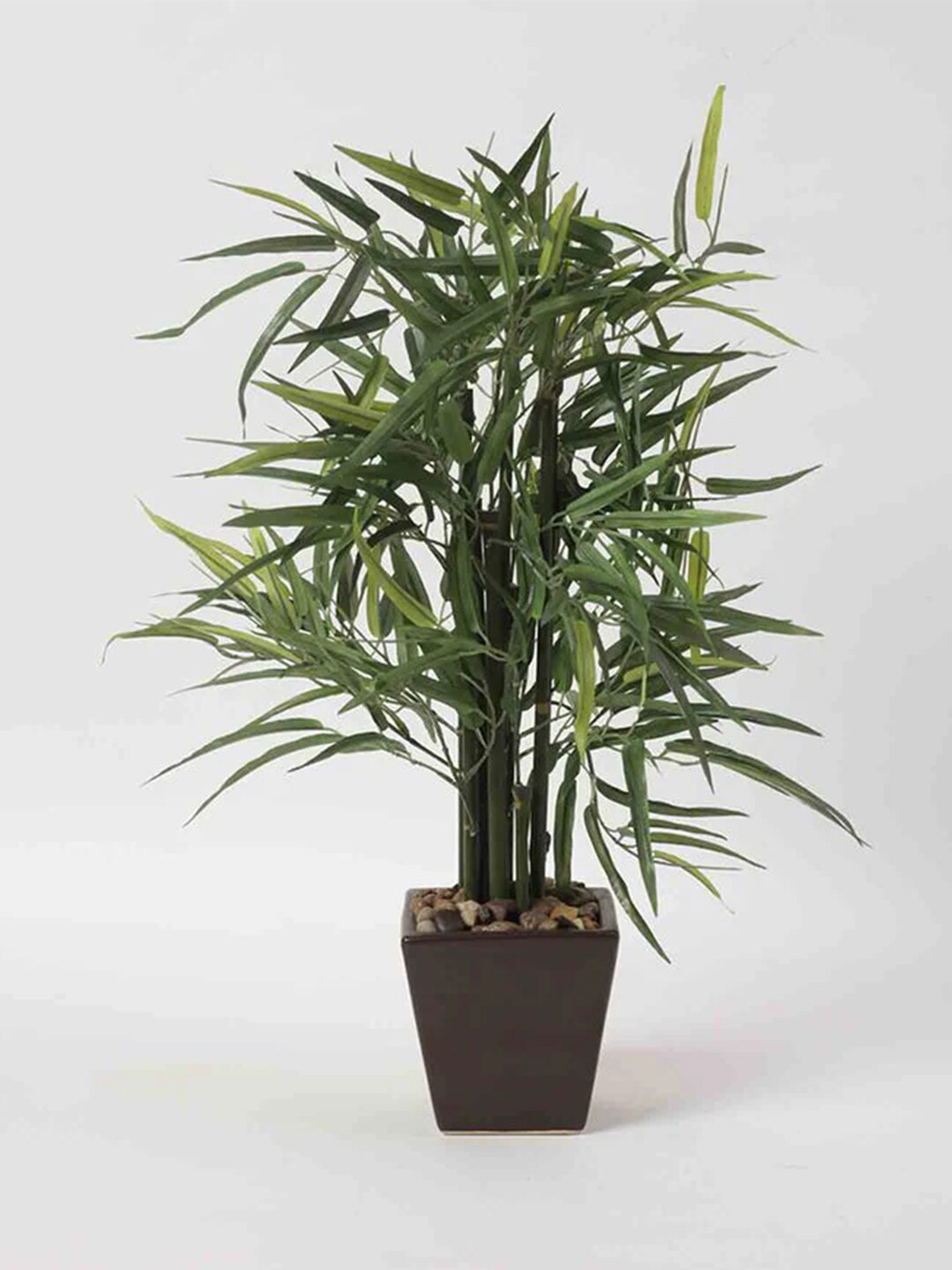 

Fourwalls Green & Brown Bamboo Plant With Ceramic Pot