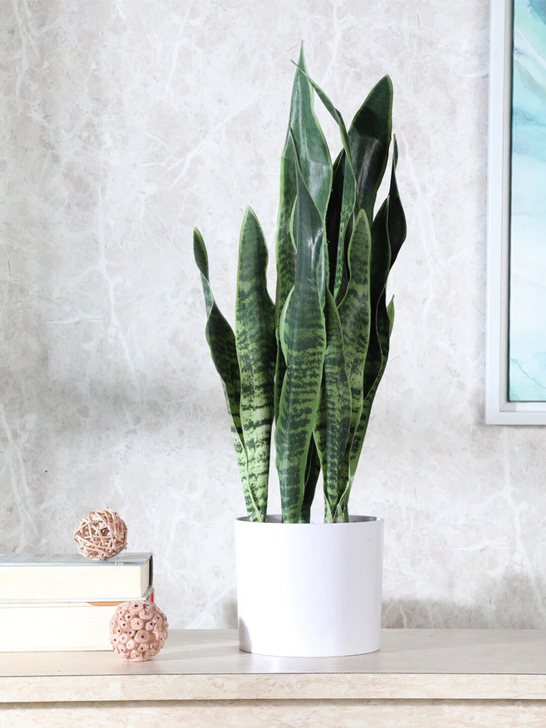 

Fourwalls Green & White Artificial Snake Plant With Pot