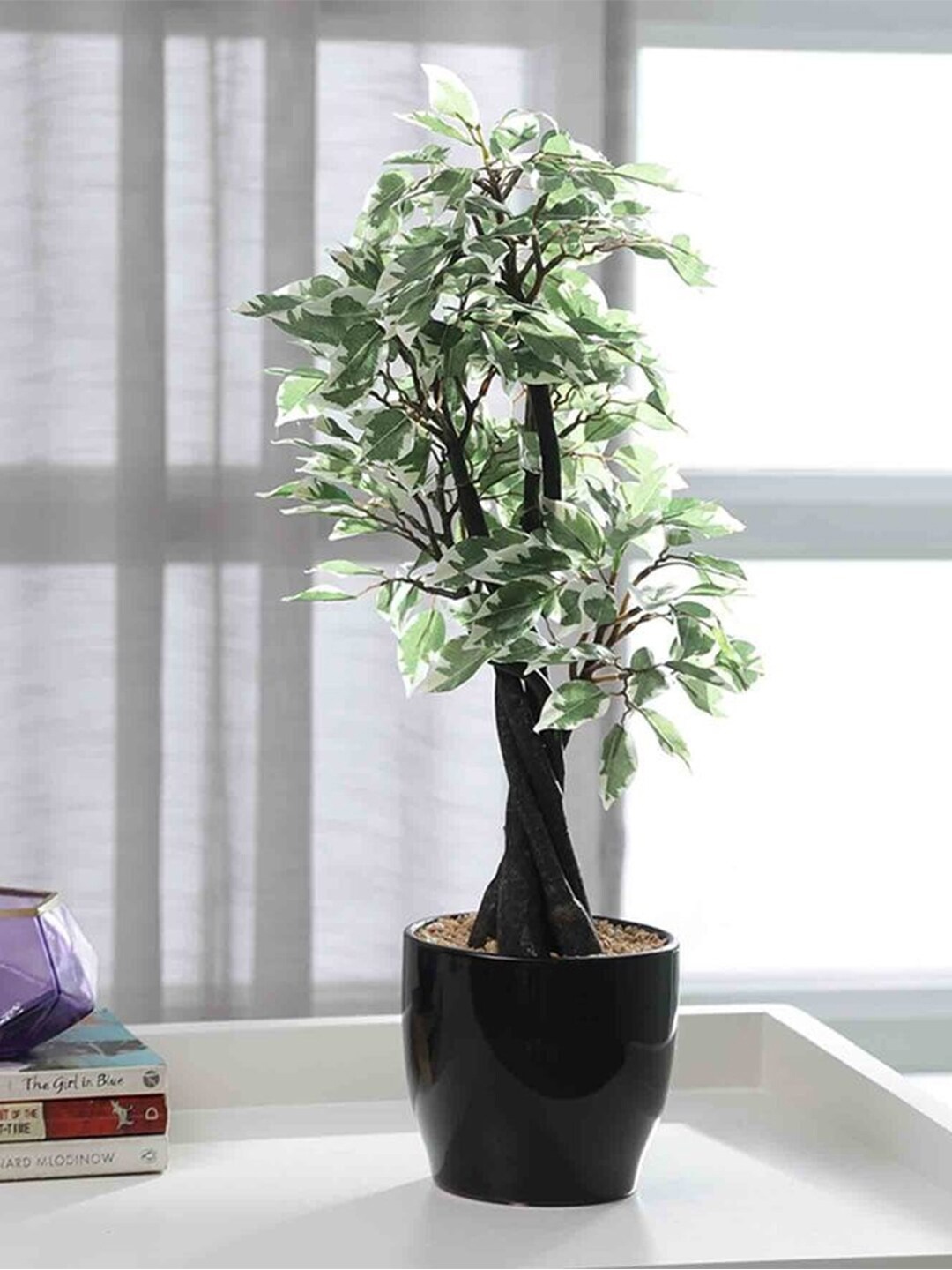 

Fourwalls White & Green Artificial Ficus Floor Plant With Pot