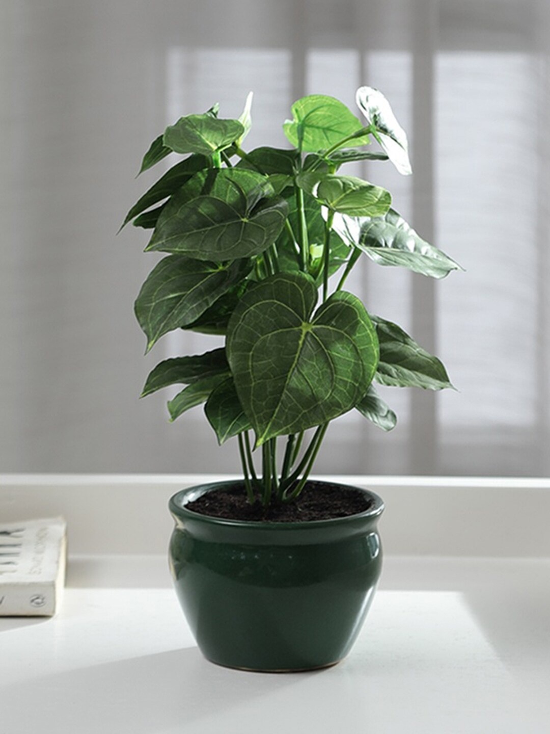 

Fourwalls Green Artificial Jatrophaa Bonsai Plant