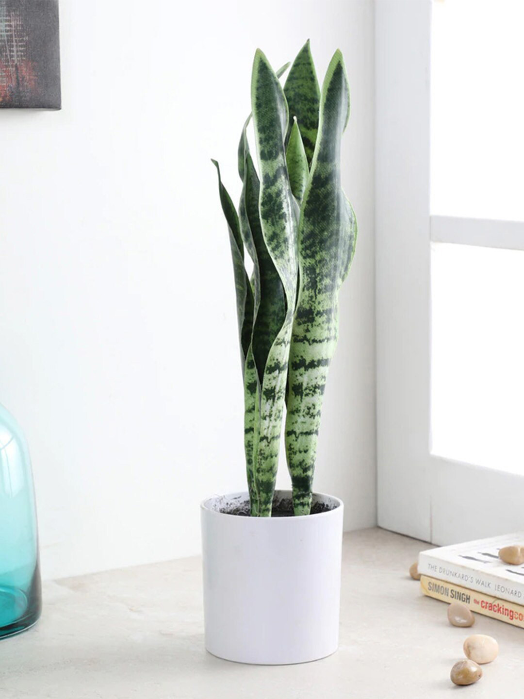 

Fourwalls Green & White Artificial Snake Plant With Pot