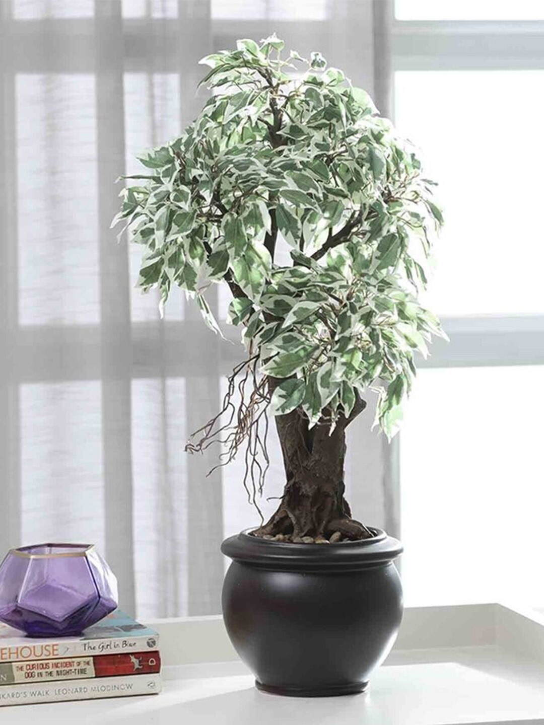 

Fourwalls White & Green Ficus Artificial Plant With Pot