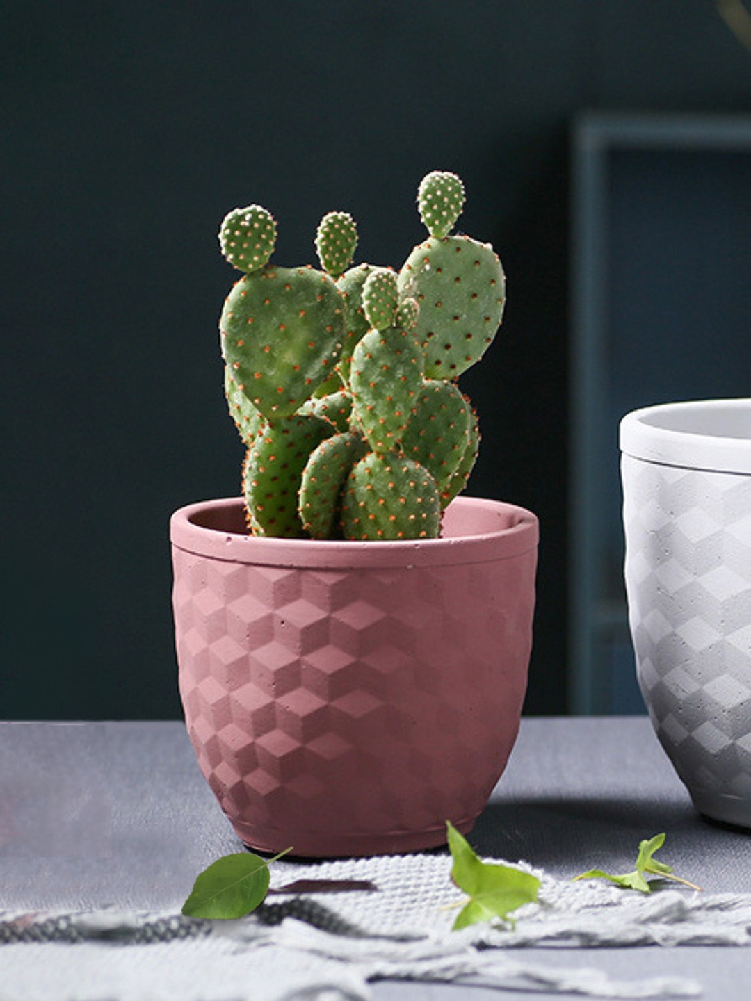 

Nestasia Pink Textured 3D Hexagonal Plant Pot