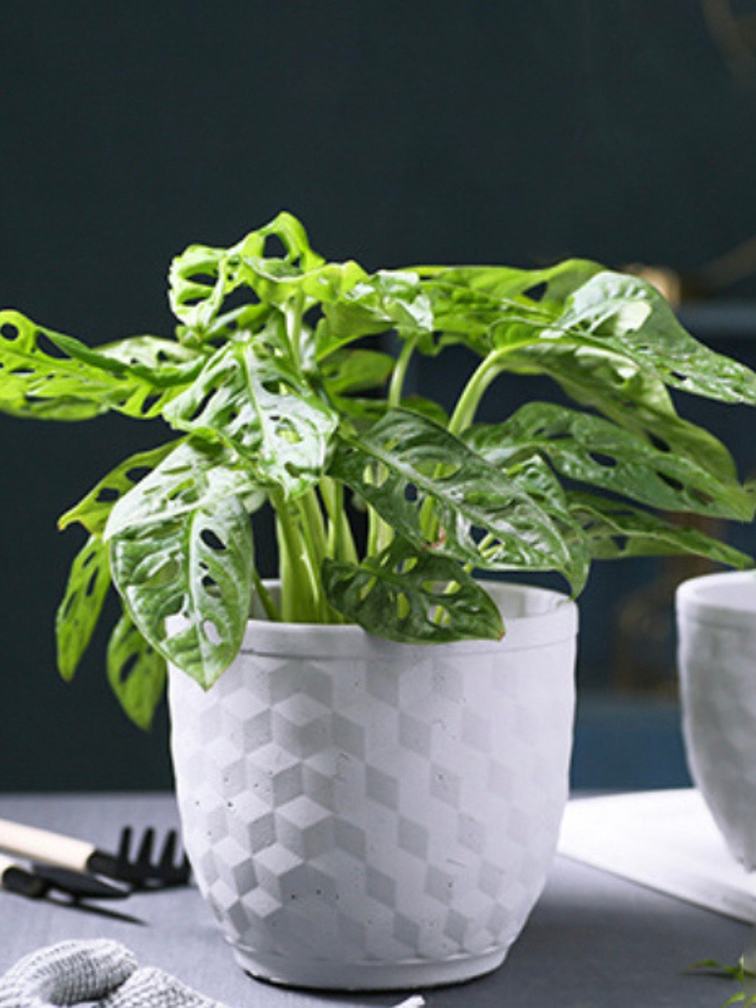 

Nestasia White 3D Hexagonal Planter Pot