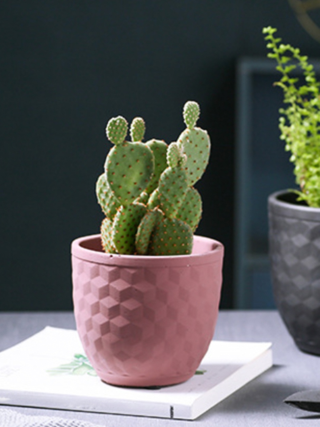 

Nestasia Pink Hexagon Textured Flower Pot Planter