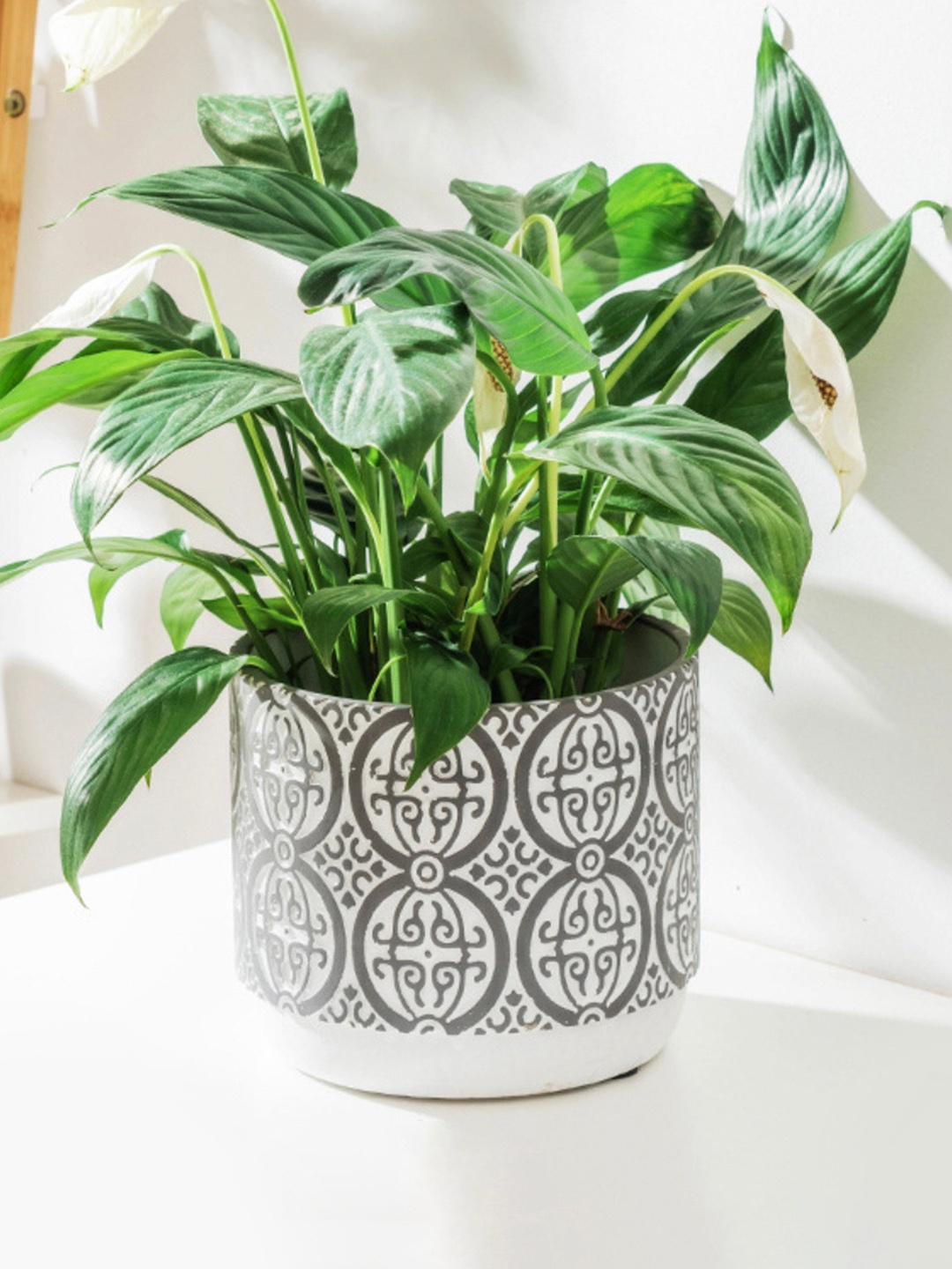 

Nestasia White & Grey Patterned Round Ceramic Planter Pot