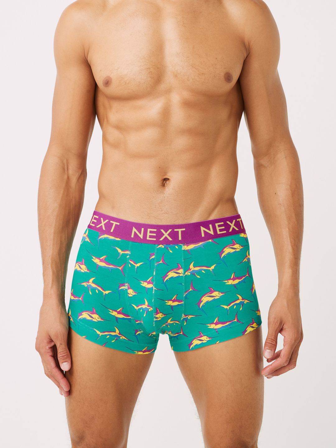 

NEXT Pack Of 4 Printed Trunk U86565, Green