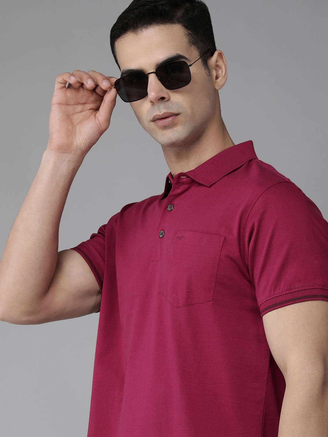 

Park Avenue Polo Collar Pure Cotton Slim Fit T-shirt, Magenta