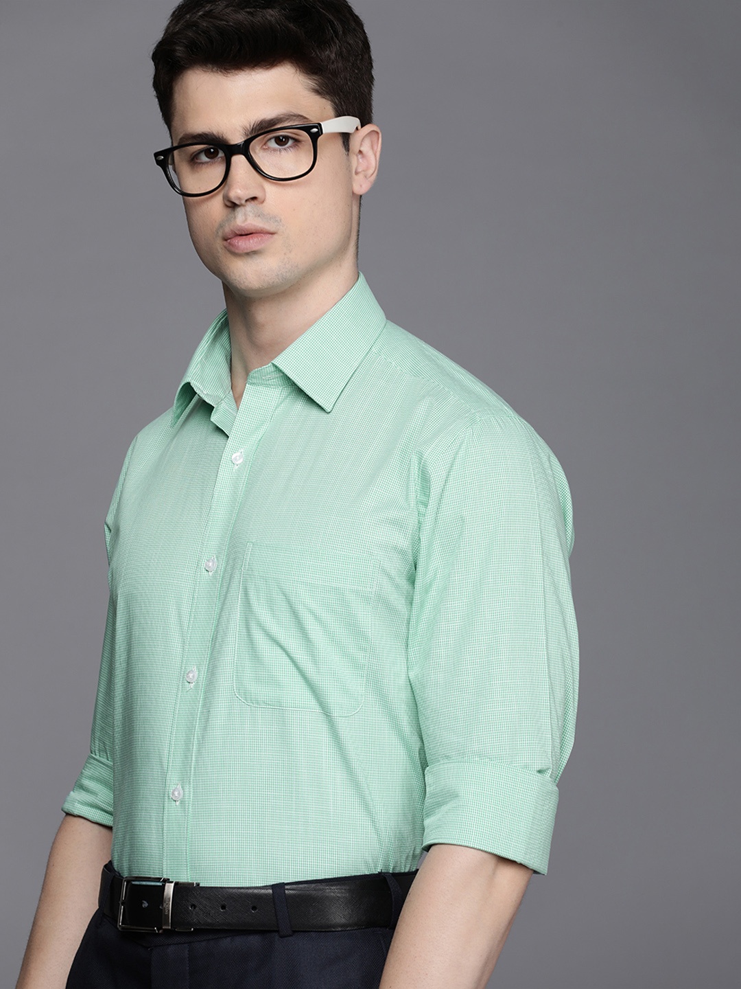 

Raymond Men Pure Cotton Slim Fit Micro Checked Formal Shirt, Green
