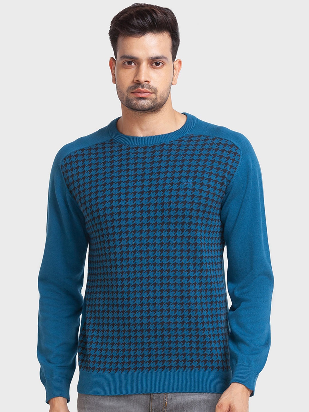 

ColorPlus Men Printed Round Neck Cotton Pullover, Blue