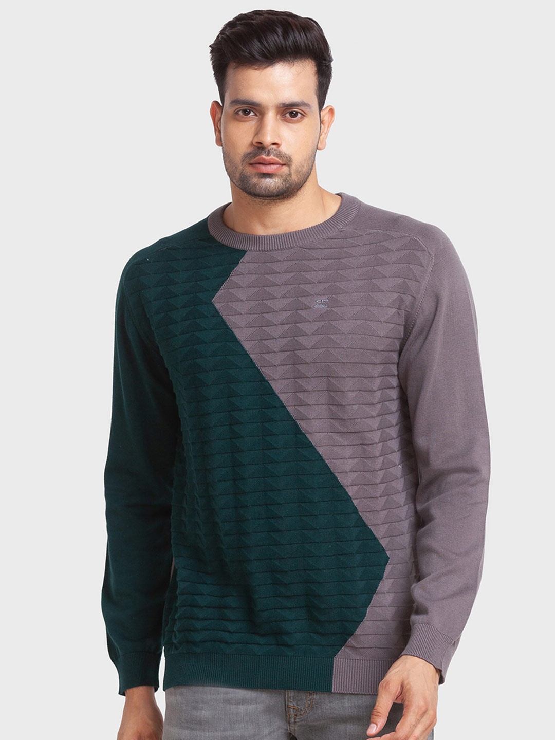 

ColorPlus Men Plus Size Colourblocked Cotton Pullover, Grey