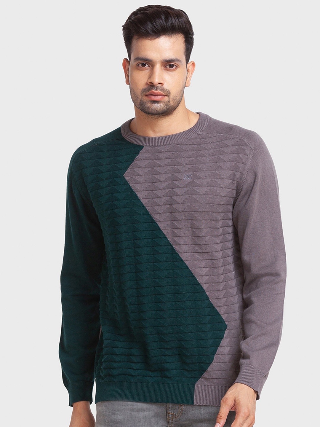 ColorPlus Men Colourblocked Cotton Pullover, Mauve
