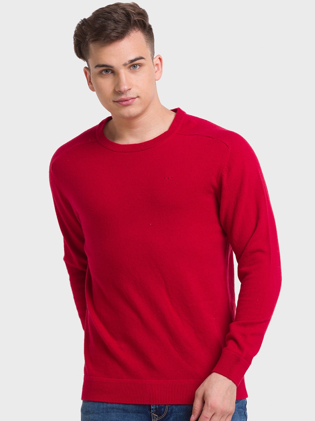 

ColorPlus Men Wool Pullover, Red