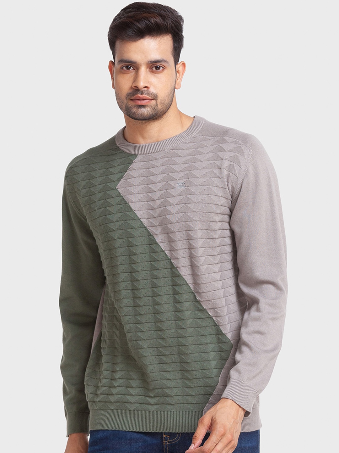 

ColorPlus Men Colourblocked Cotton Pullover, Green