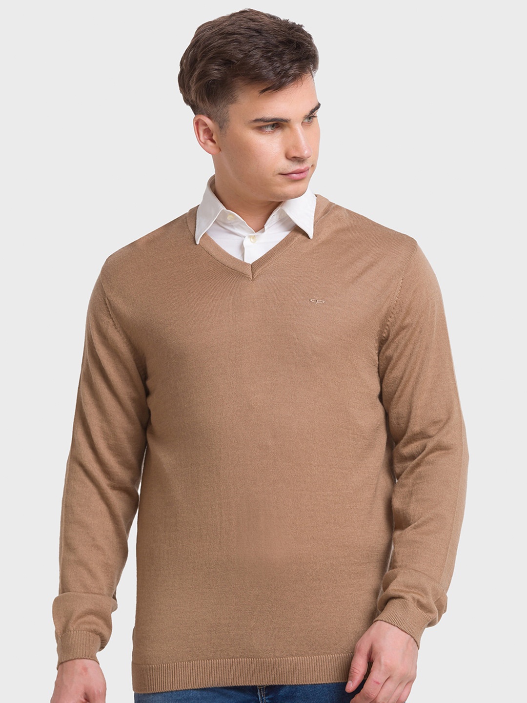 

ColorPlus Men Plus Size Wool Pullover, Brown