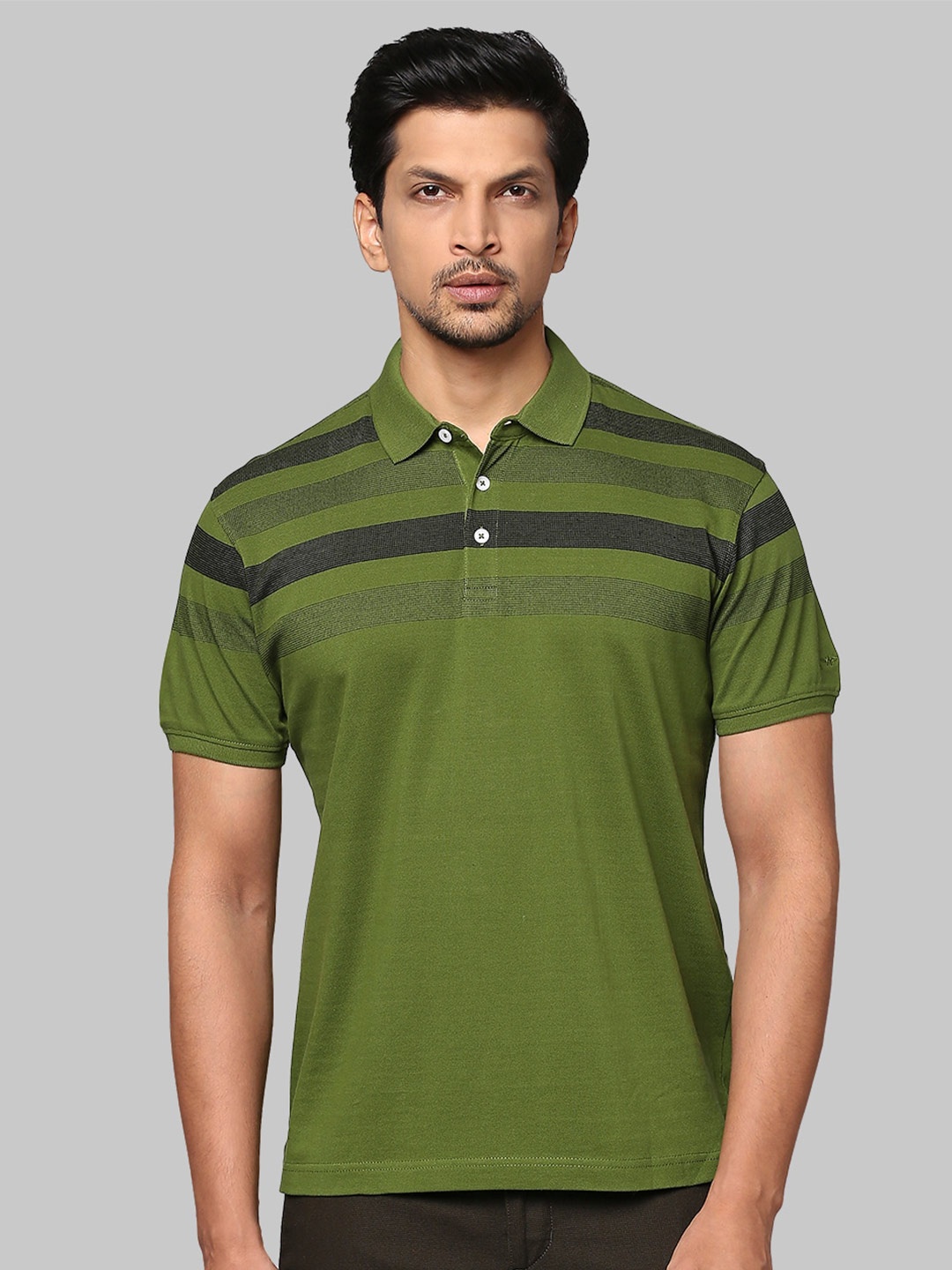 

Park Avenue Men Striped Polo Collar Slim Fit Cotton T-shirt, Olive
