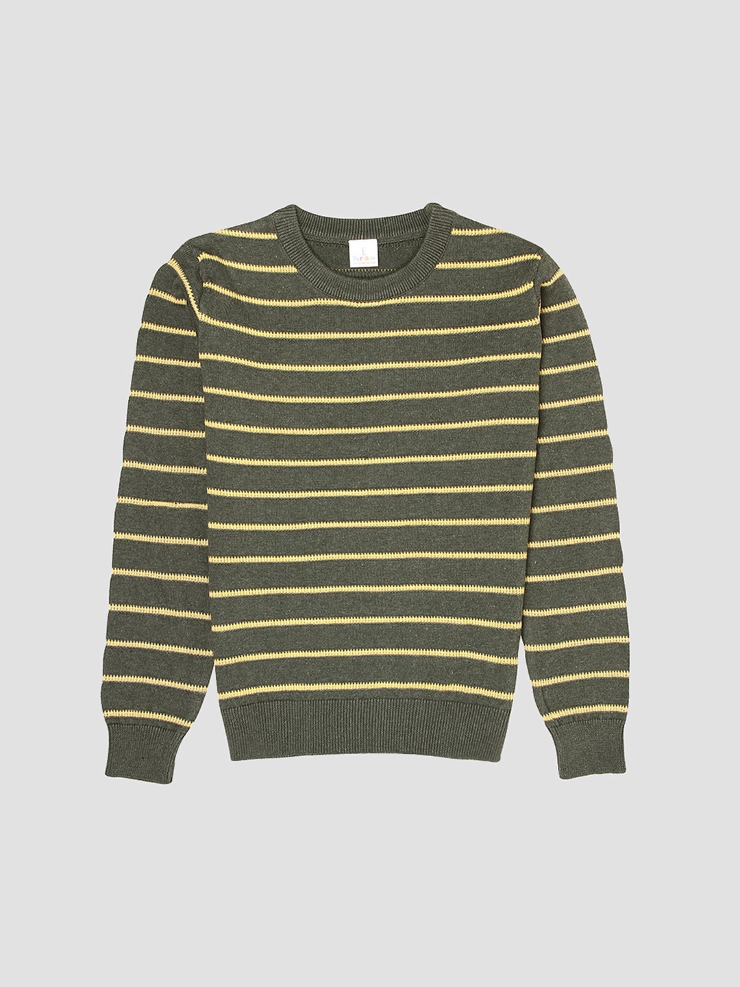 

PORTOBELLO Boys Printed Striped Acrylic Ribbed Pullover, Green