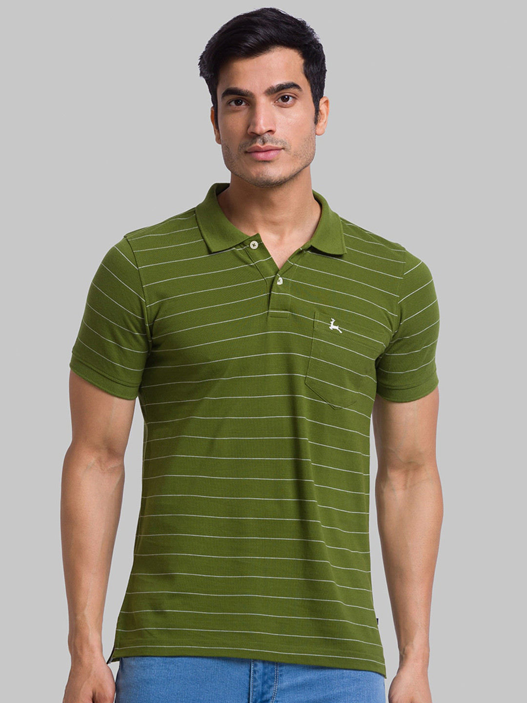 

Parx Men Striped Polo Collar Cotton T-shirt, Green