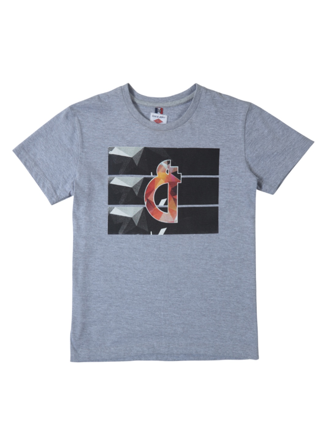 

Gini and Jony Boys Grey Printed Round Neck T-shirt