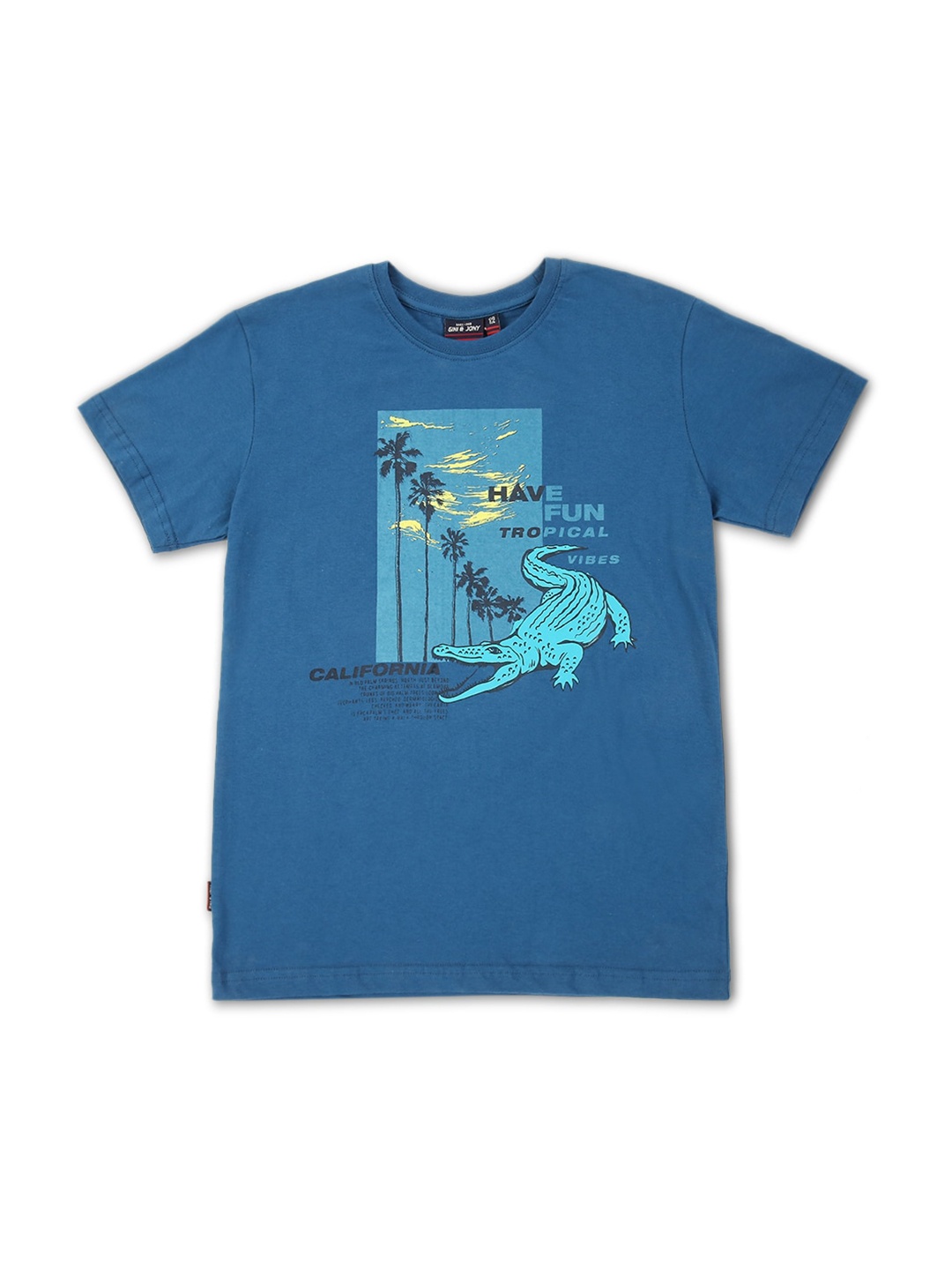 

Gini and Jony Boys Graphic Printed Cotton T-shirt, Teal