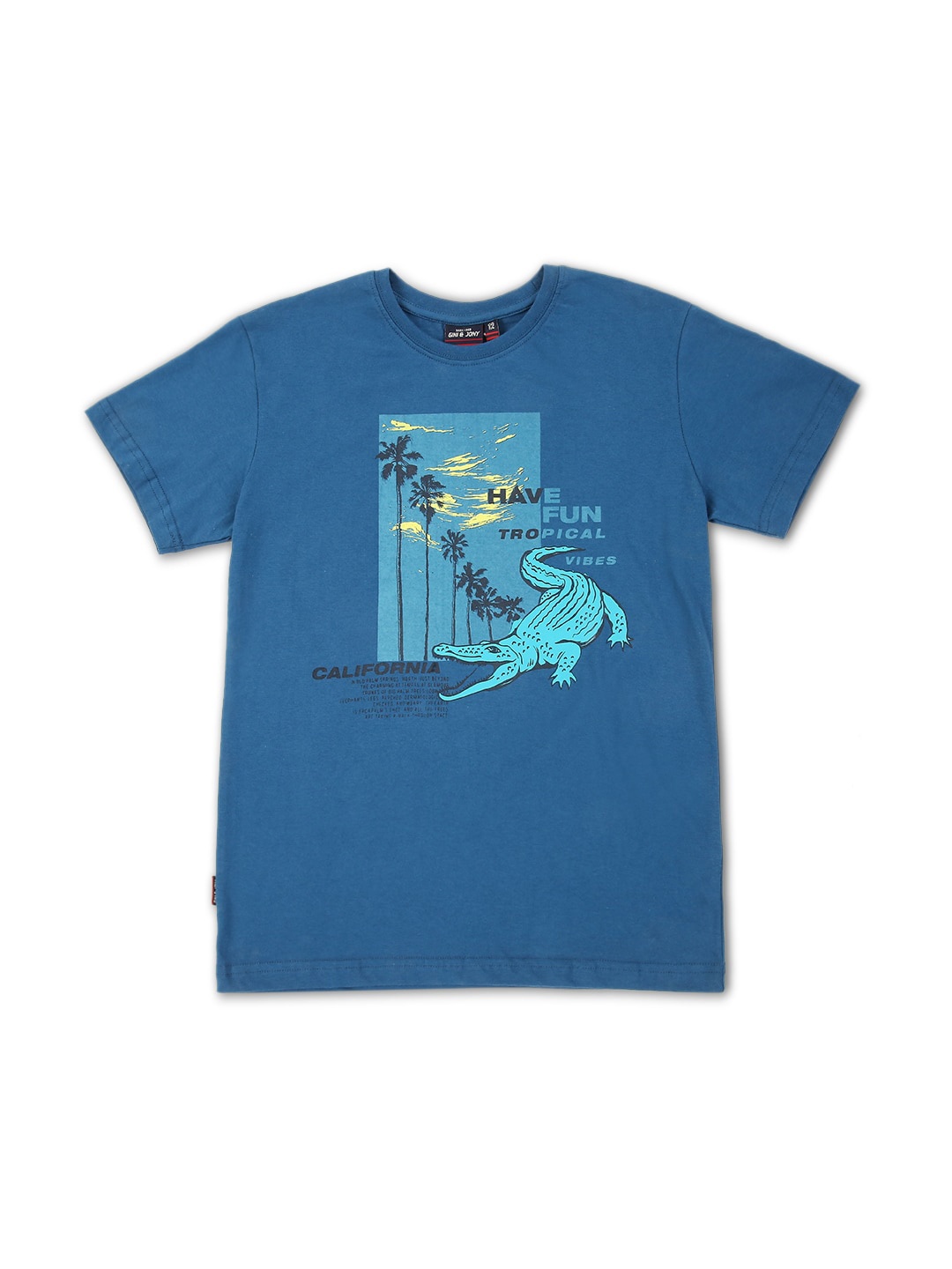 

Gini and Jony Infant Boys Graphic Printed Cotton T-shirt, Teal