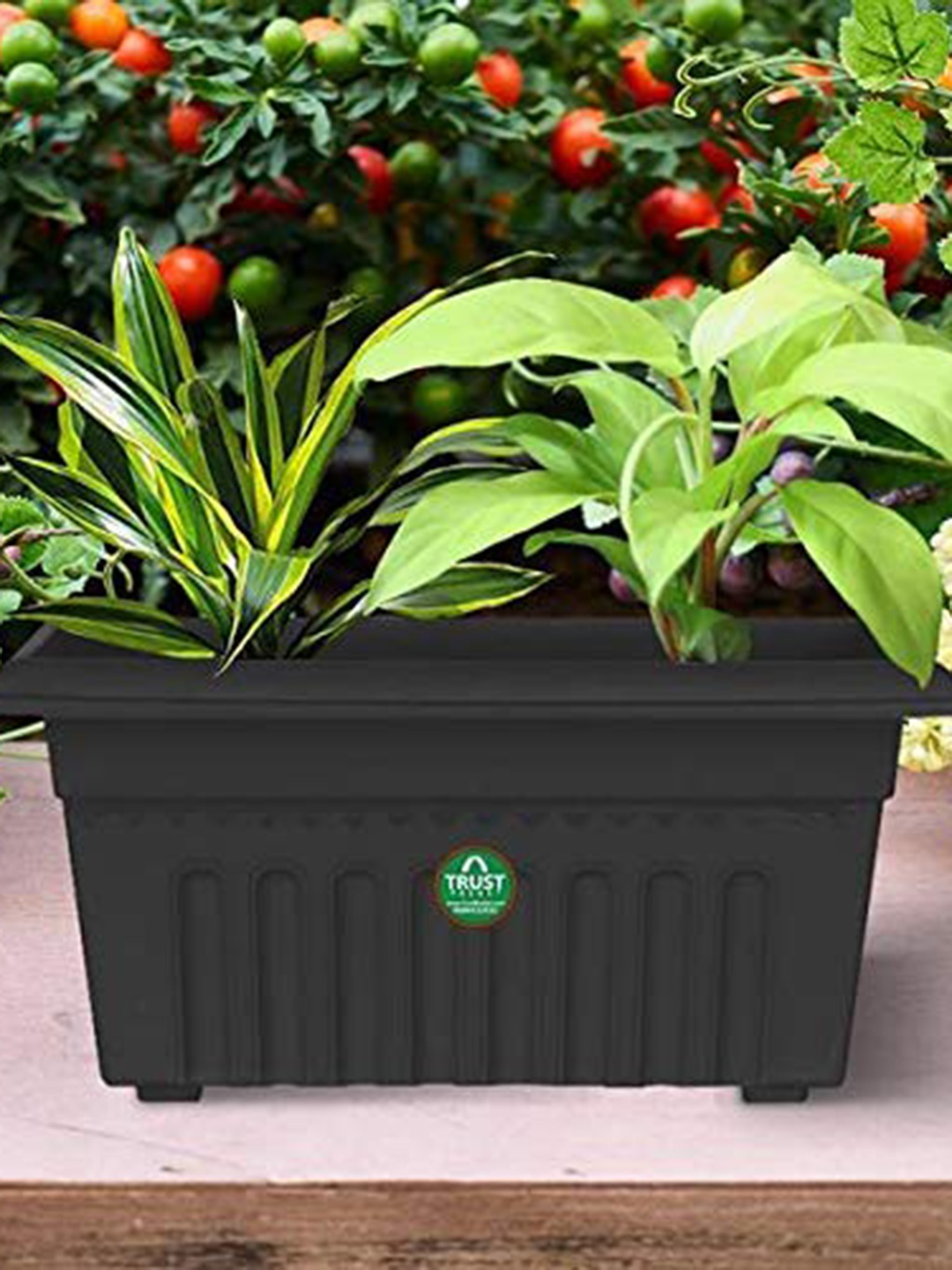 

TrustBasket 12-Pcs Black UV Treated Rectangular Planters