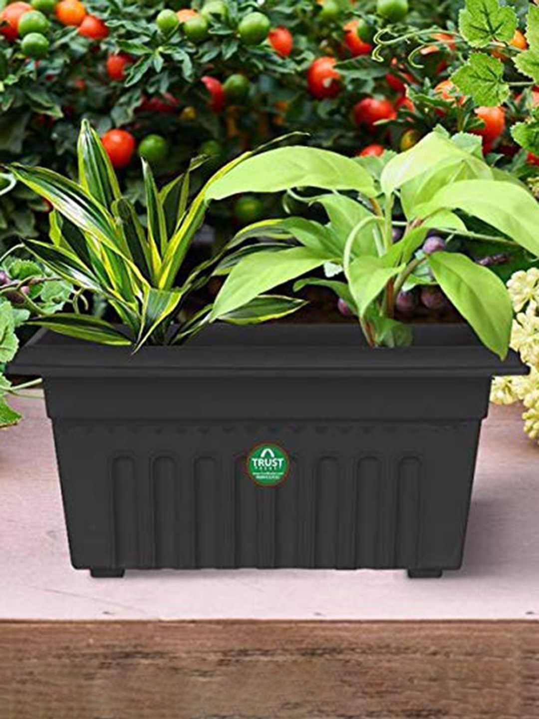 

TRUSTBASKET 6-Pieces Black Textured UV Treated Rectangular Planters