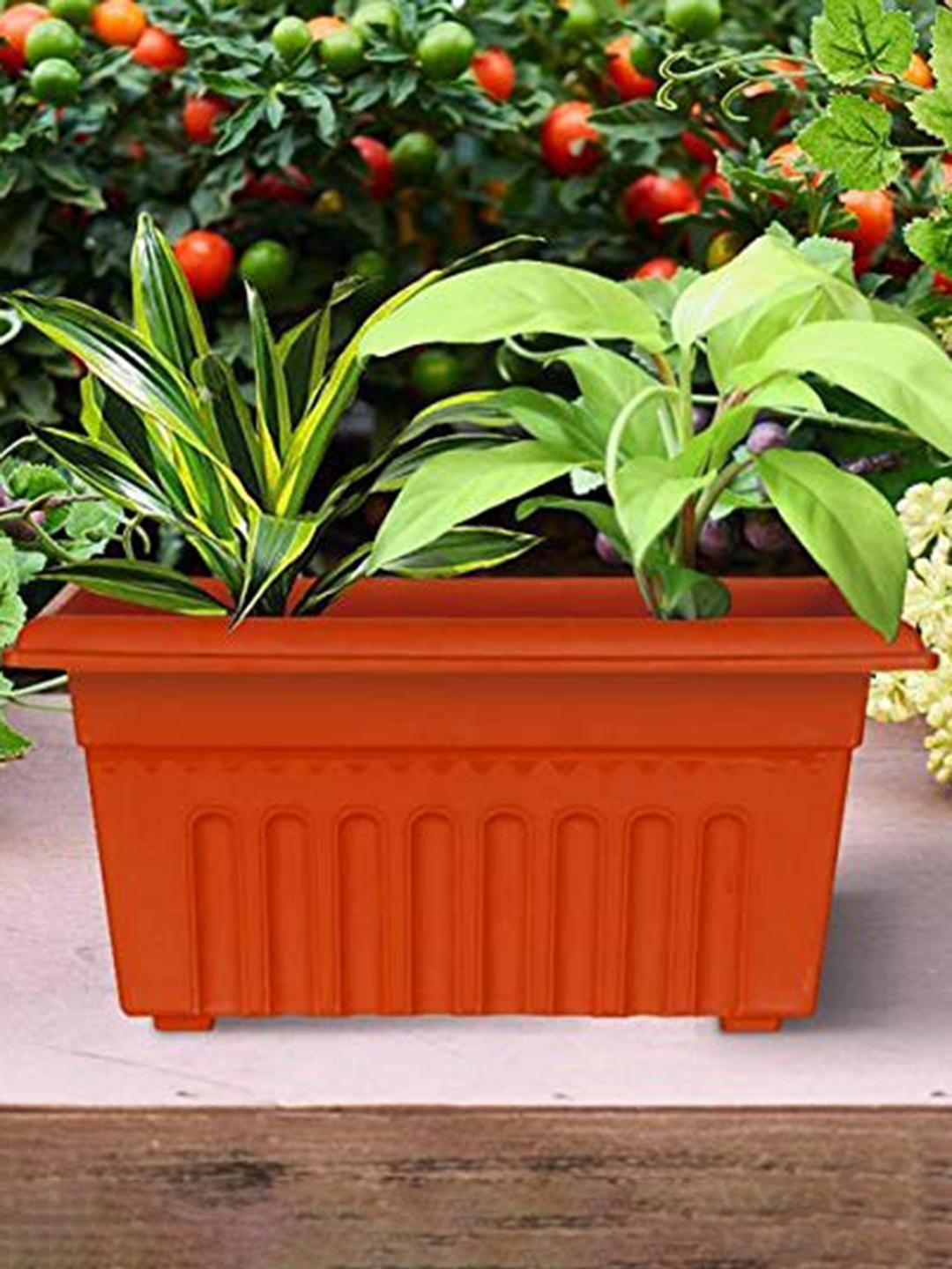 

TRUSTBASKET 12-Pcs Brown Rectangular Planters
