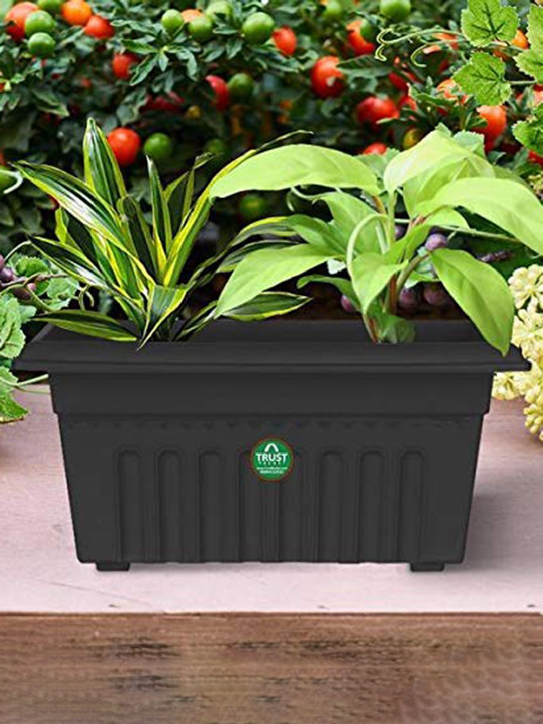 

TRUSTBASKET 12-Pcs Black Rectangular Planters