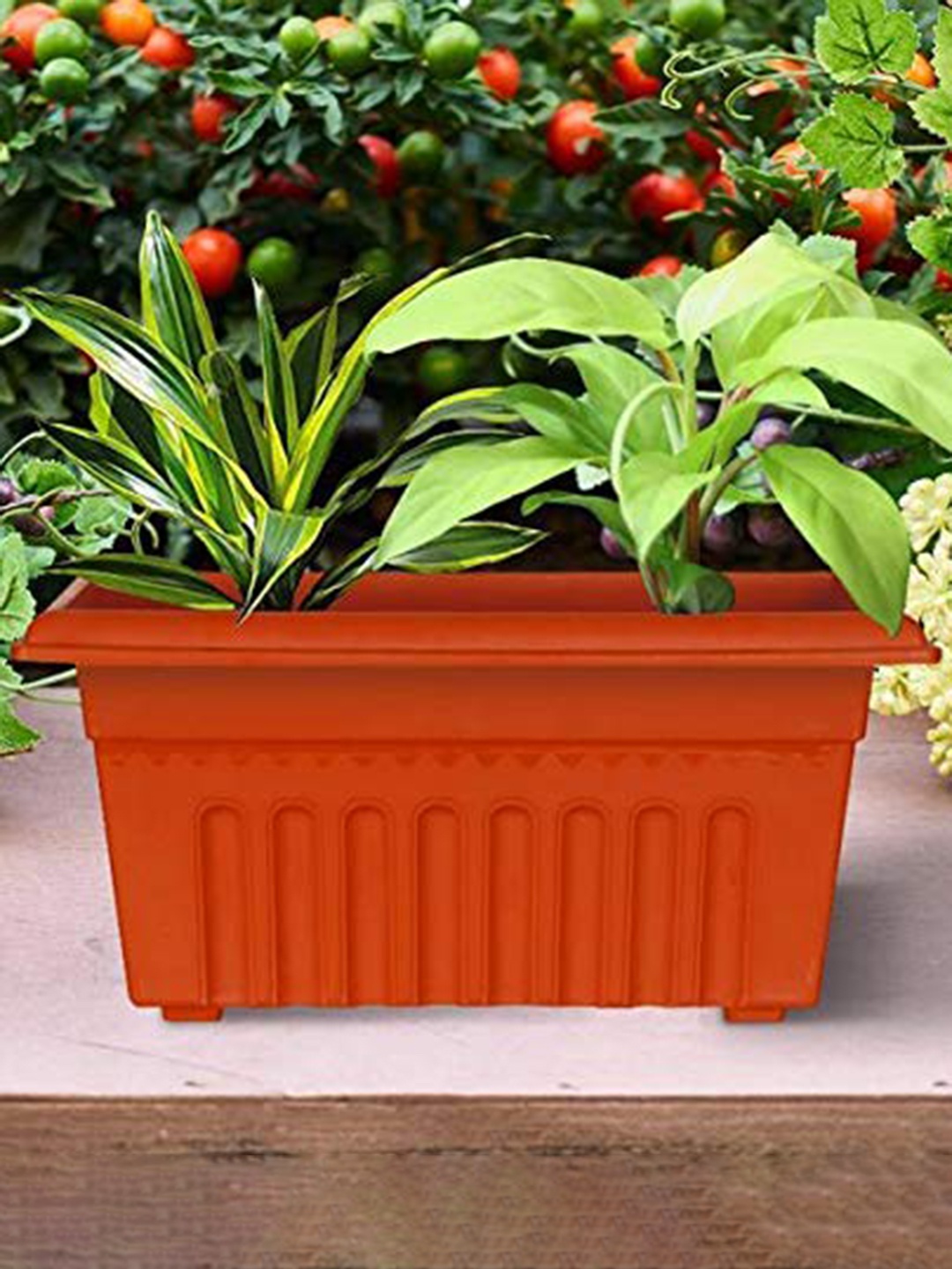 

TRUSTBASKET 12-Pcs Brown UV Treated Rectangular Planters