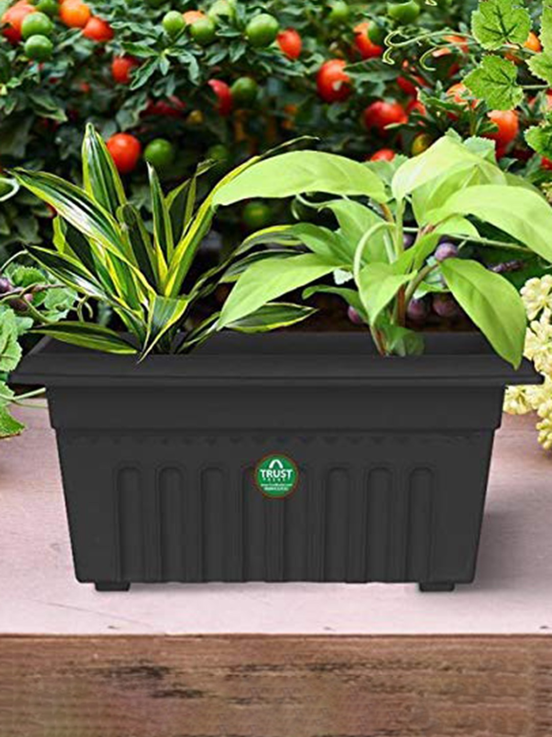

TRUSTBASKET 12-Pieces Black Textured UV Treated Rectangular Planters