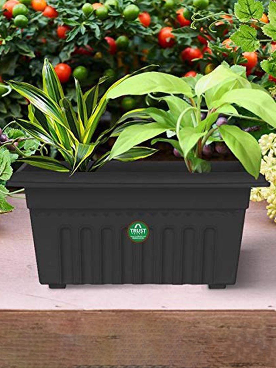 

TRUSTBASKET 3-Pieces Black Textured UV Treated Rectangular Planters