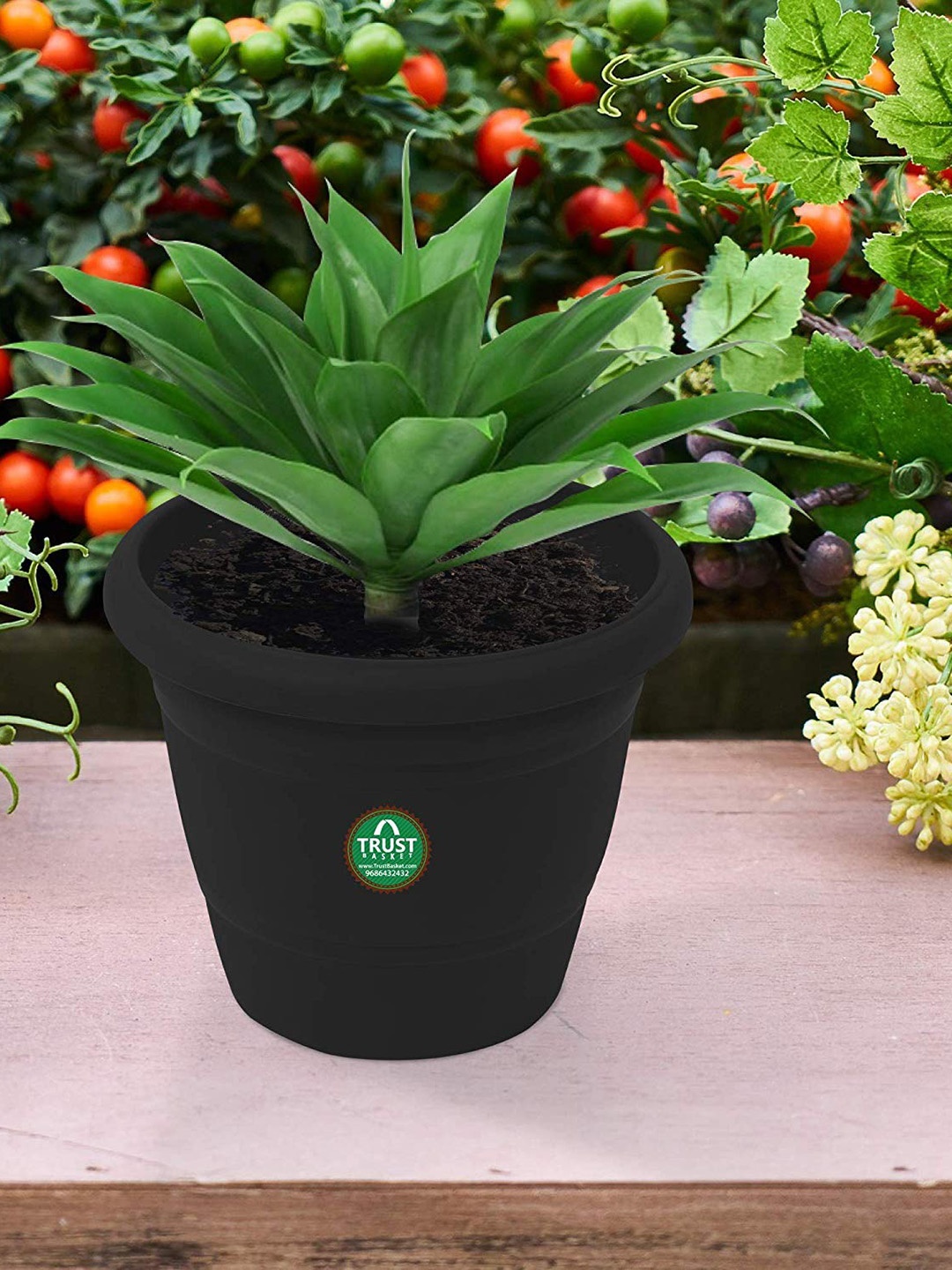 

TRUSTBASKET 12-Pcs Black Round Planters