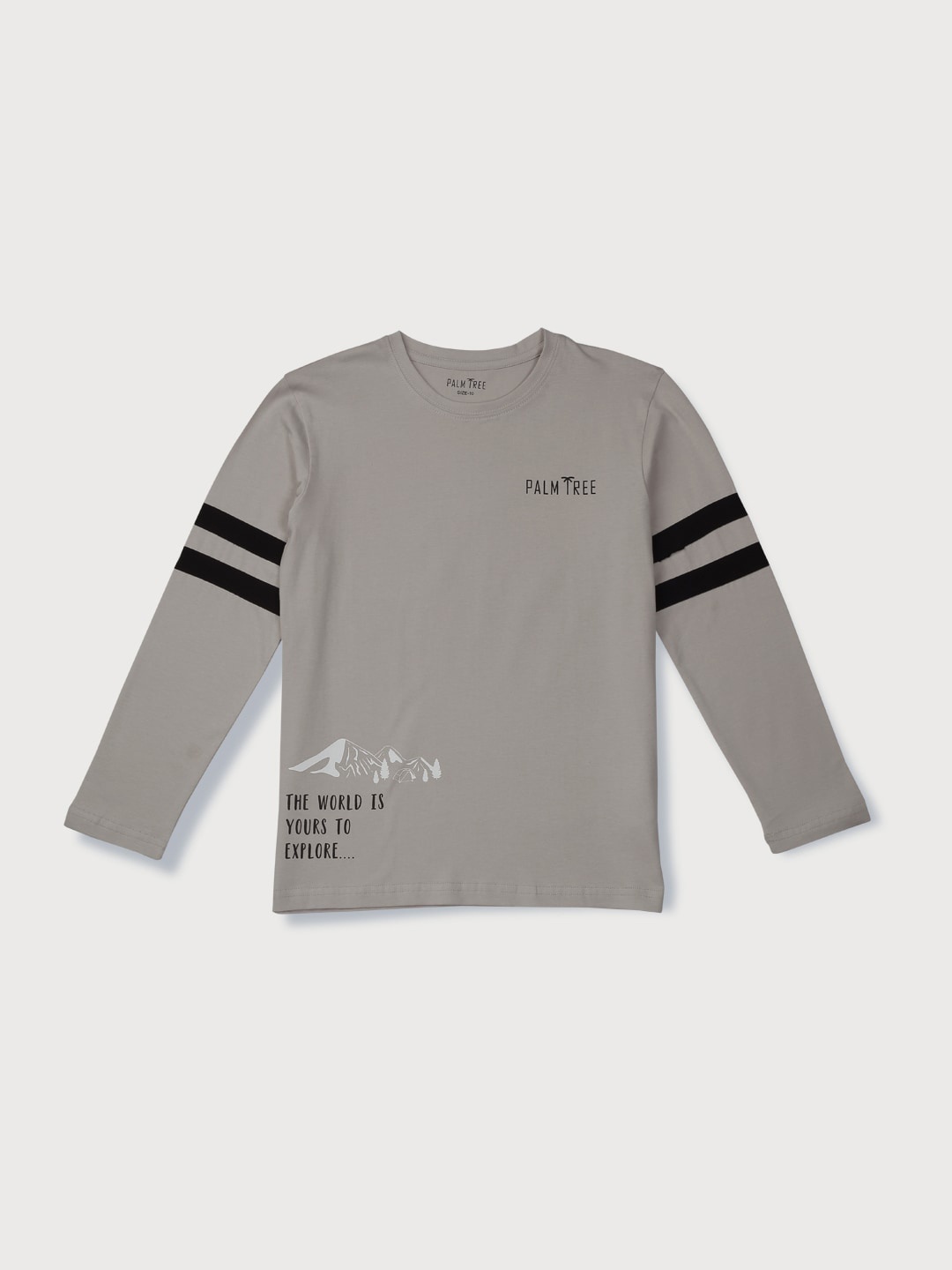 Palm Tree Boys Striped Long Sleeves Cotton T-shirt, Grey