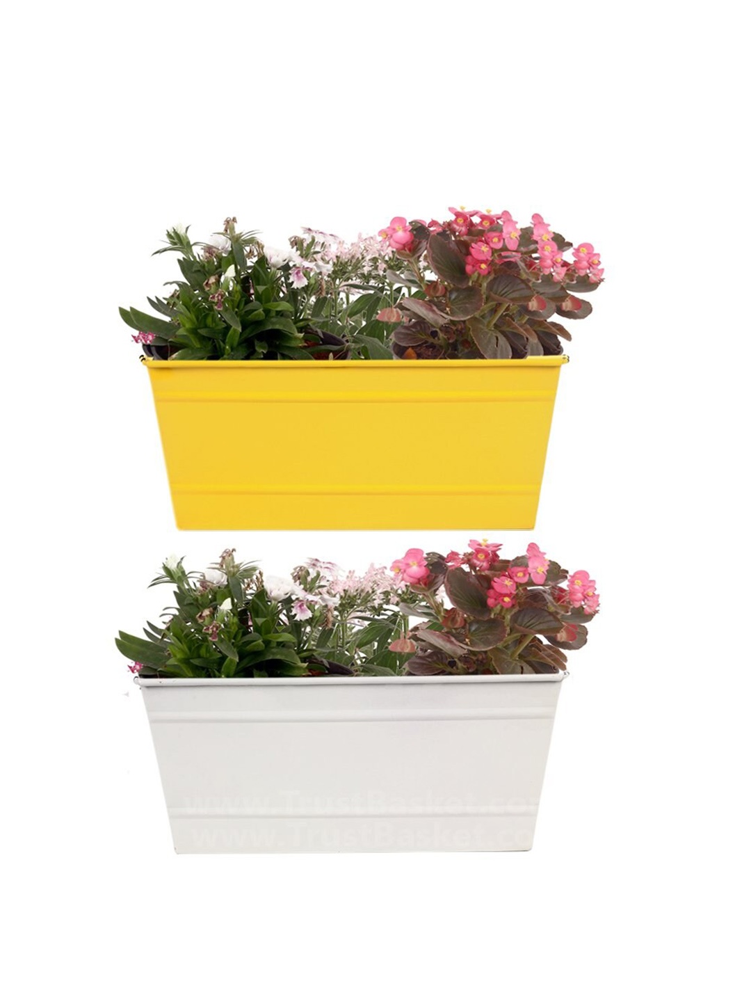 

TRUSTBASKET Yellow & White 2 Pcs Rectangular Metal Railing Planters