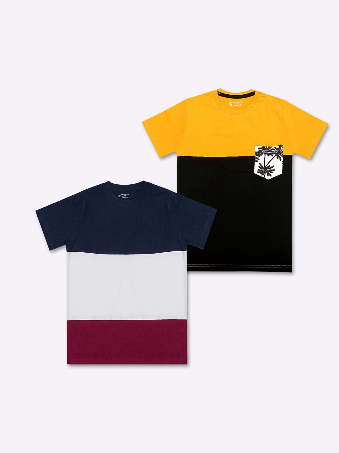 

Silver Fang Boys Pack Of 2 Colourblocked Cotton T-shirt, Blue