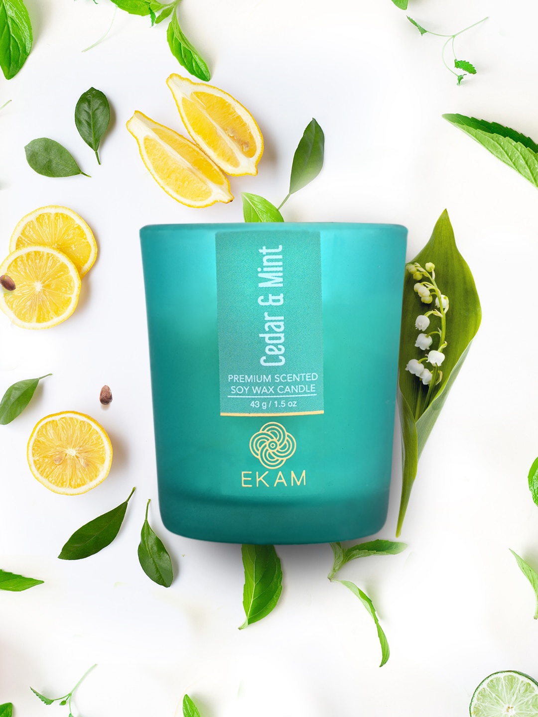 

Ekam Turquoise Blue 12 Pieces Cedar & Mint Fragrance Scented Candle Jars