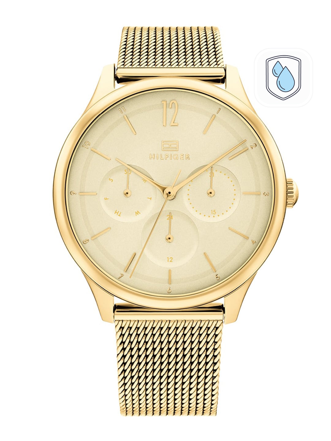 

Tommy Hilfiger Women Dial & Stainless Steel Straps Analogue Watch TH1782458W, Gold