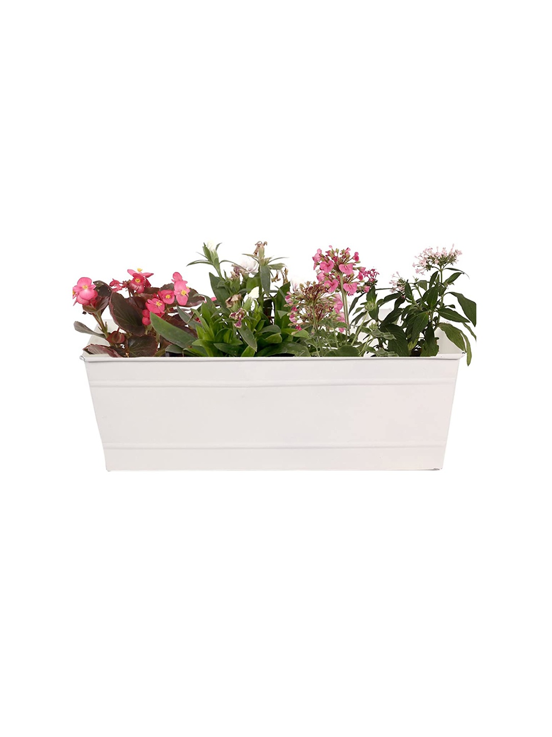 

TRUSTBASKET Cream-Coloured Textured Railing Hanging Metal Planter