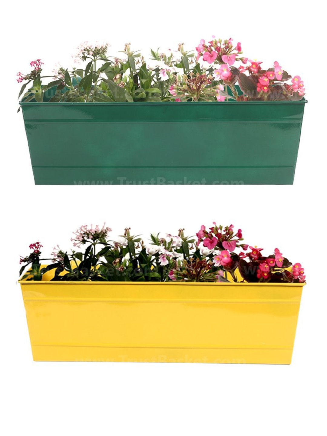 

TRUSTBASKET Green & Yellow 2 Pieces Railing Hanging Metal Planters